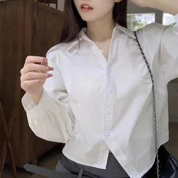 Жена темперамент в корейски стил, блуза с дълги ръкави и V-образно деколте, кратък стил, нередовен